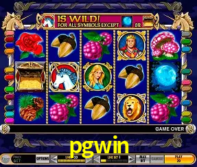 VIP Casino pgwin
